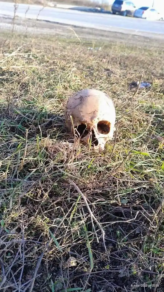 Kamianets PLUS 🇺🇦 post