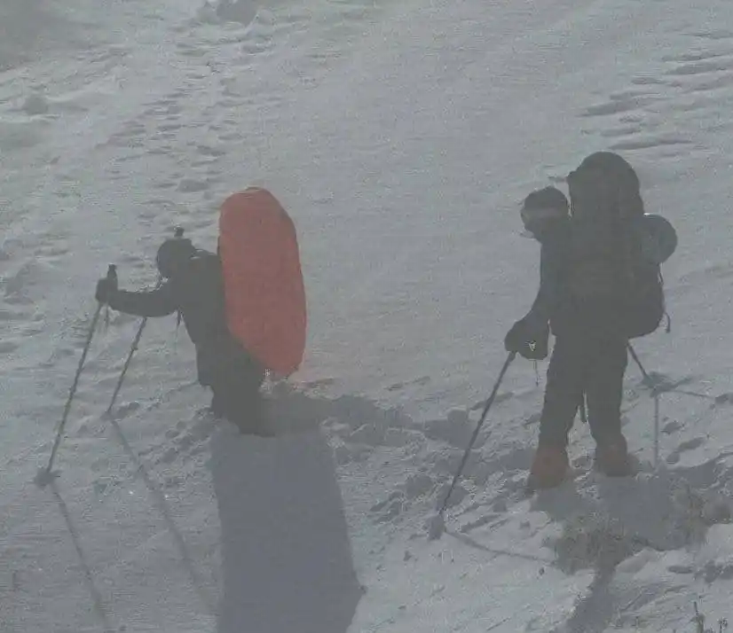 خبر فوری post