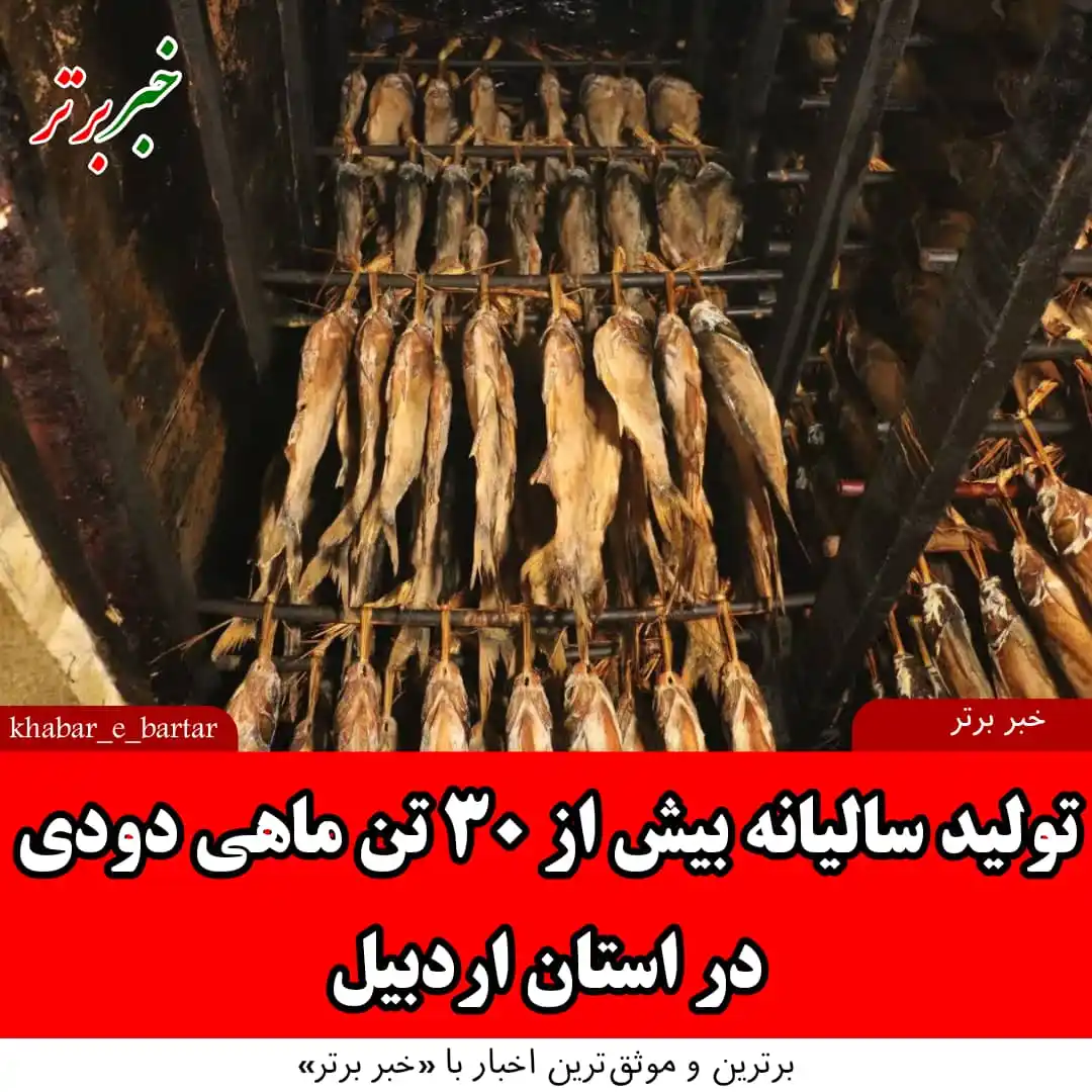 Image from خبربرتر: *💢 خبربرتر| تولید سالیانه بیش از ۳۰ تن ماهی دودی در استان اردبیل* 🔻...