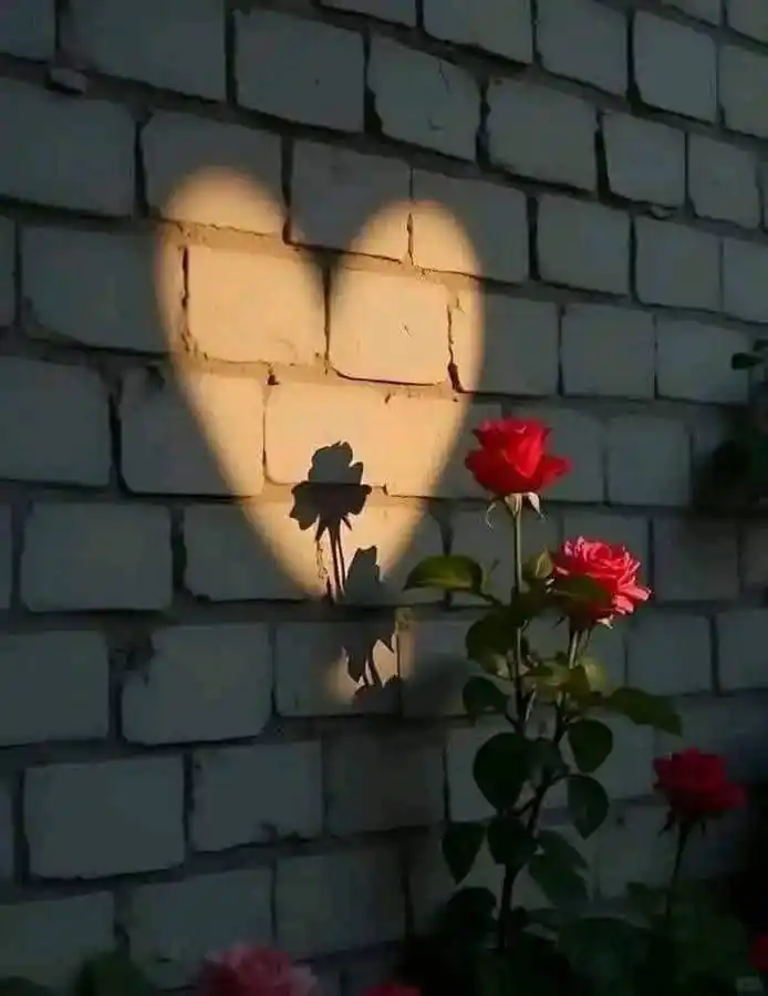 خِلَيَکْ روٌآء post