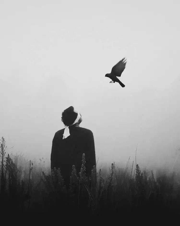🦋📎خیال مزل🦋📎 post
