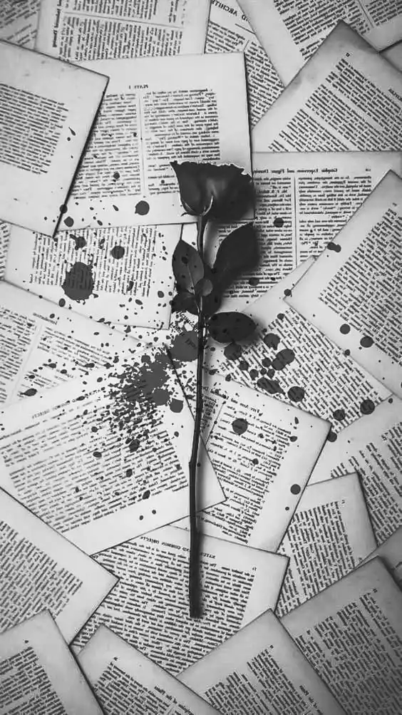 Kitab e IshQ *کِتِـــابِ عِشَّــــق٘* post