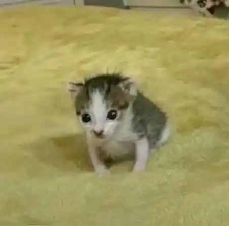 Kitaminit@s ✨ post