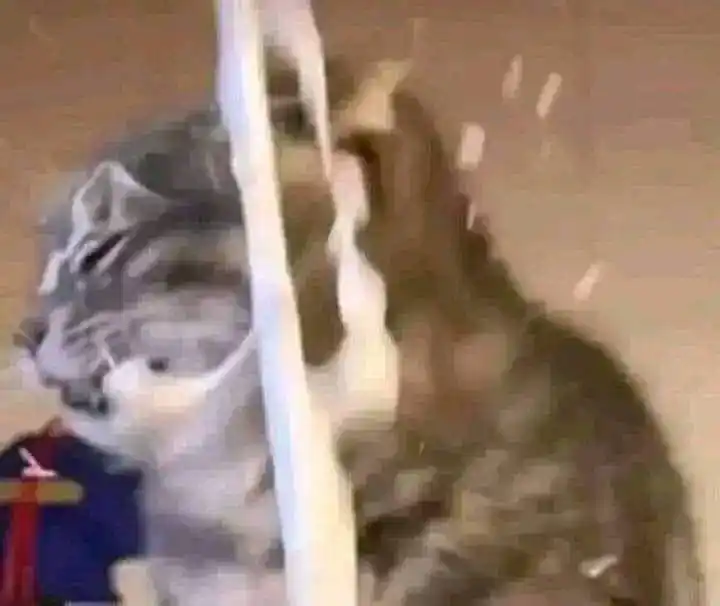 Kitaminit@s ✨ post