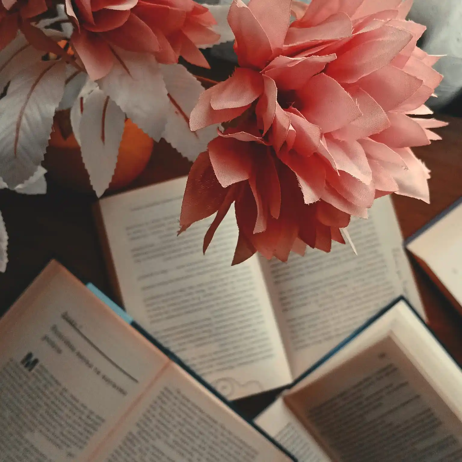 Книжковий острів post