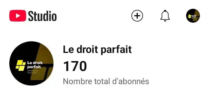 Image from LE DROIT PARFAIT ⚖️: *170 abonnés jusque-là.* Intéressant... Mindset 🧠 *Tu peux t'abonner...
