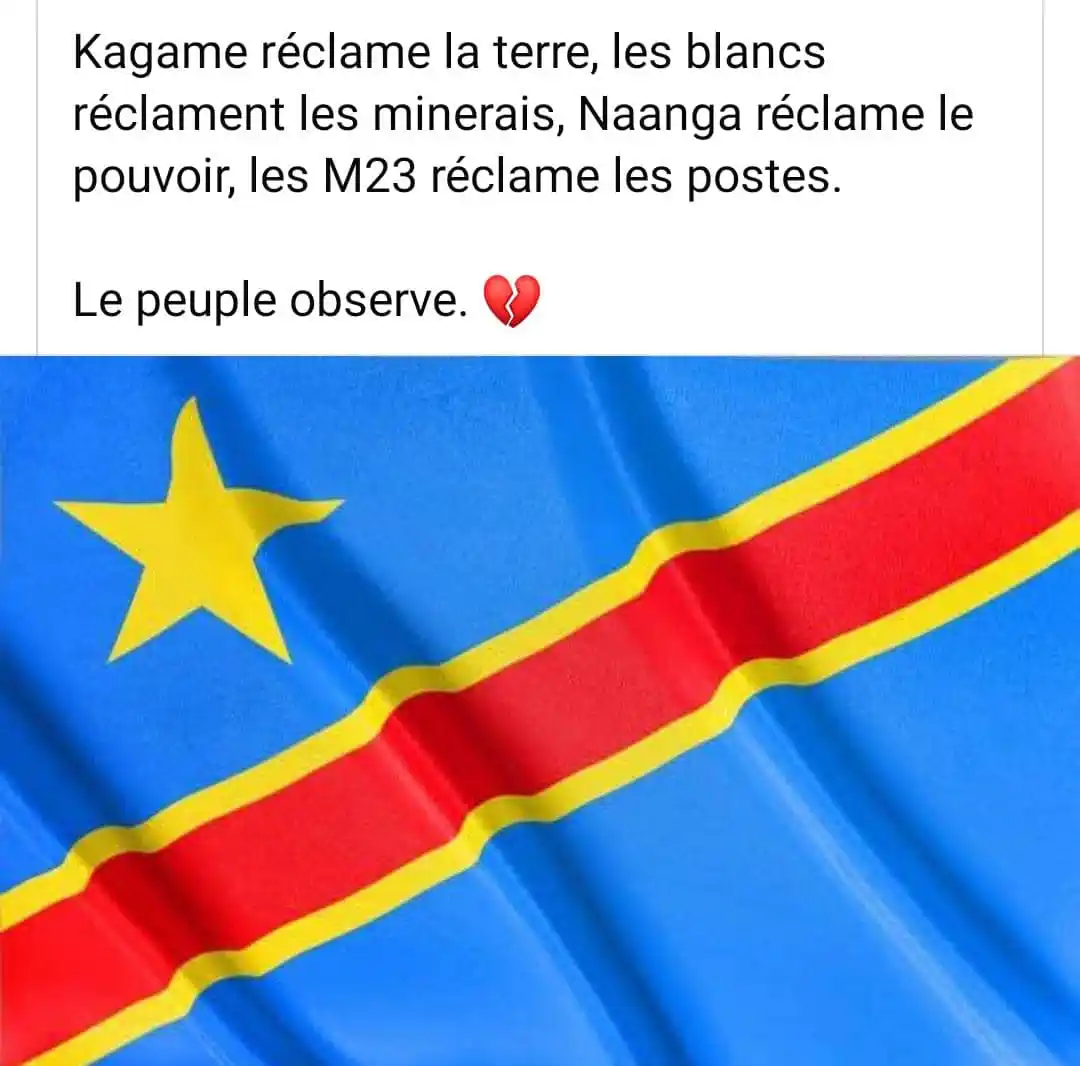 Les Vrais Révolutionnaires (VR) post