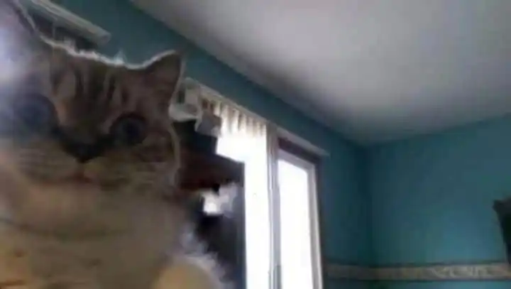 رُبما نَلتقي . post