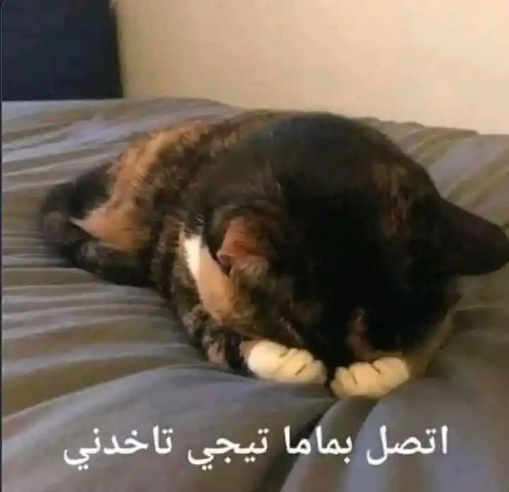 رُبما نَلتقي . post