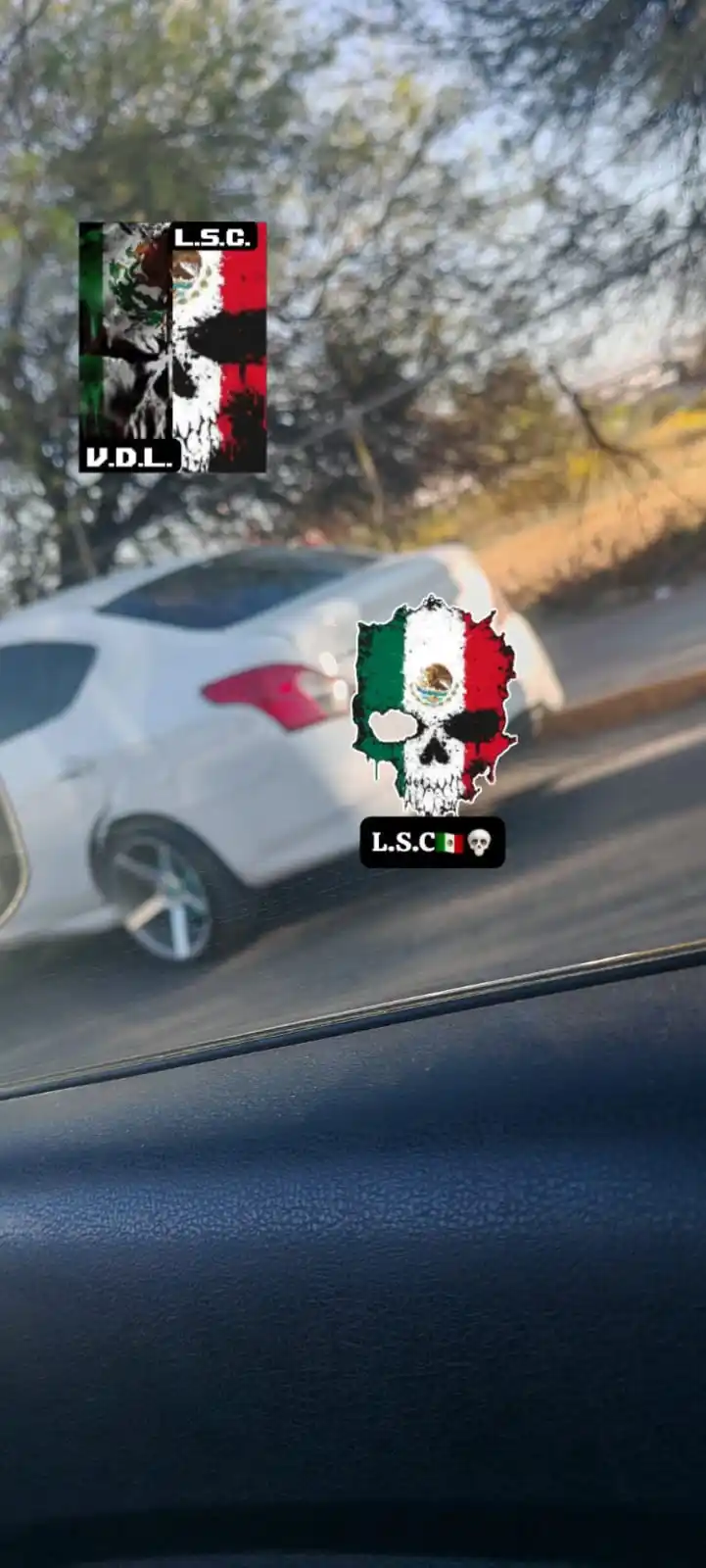 L.S.C 🇲🇽💀 post