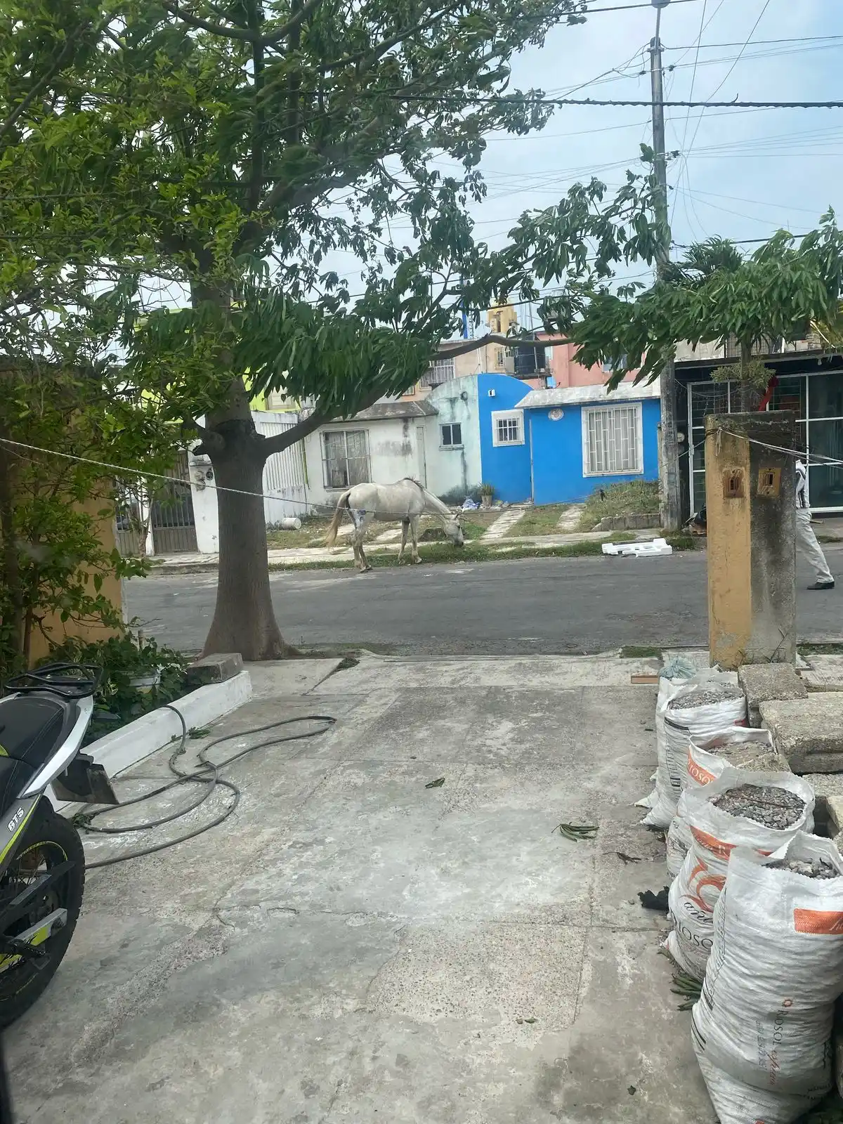 Marr valencia😳😳😳 post