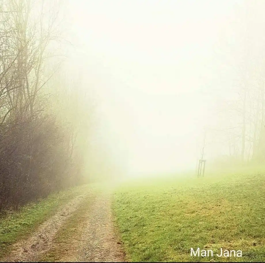 ❤️ Maya ❤️ post