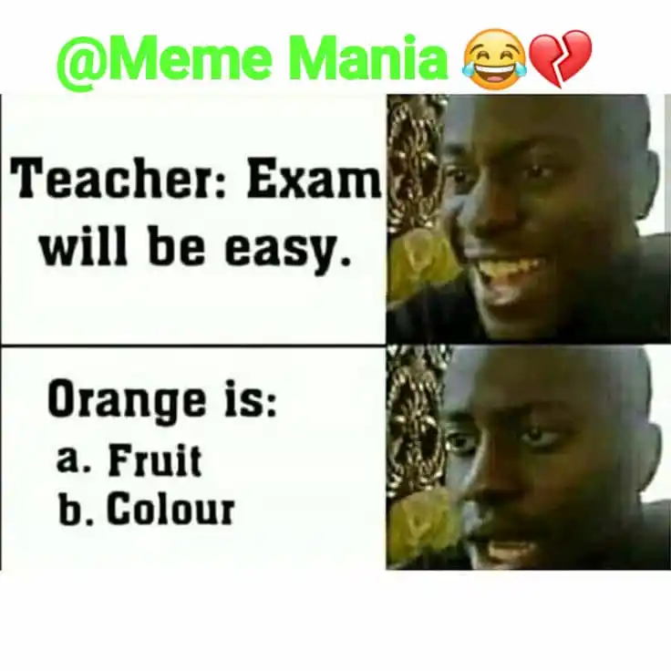 Meme_Mania😂💔 post