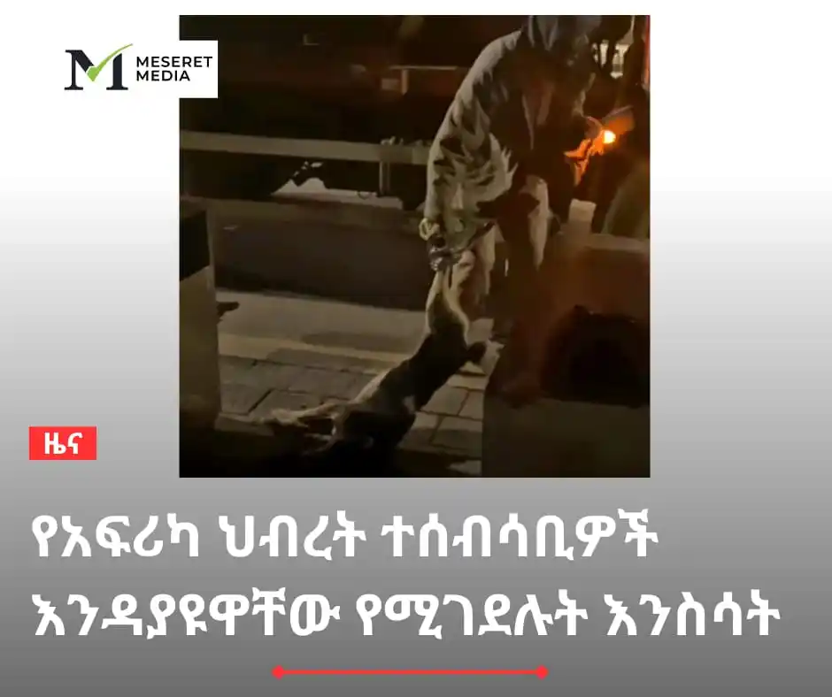 Meseret Media post