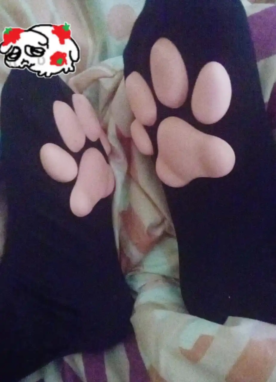 El Sótano De Las Ratas Camperas De Miumi post