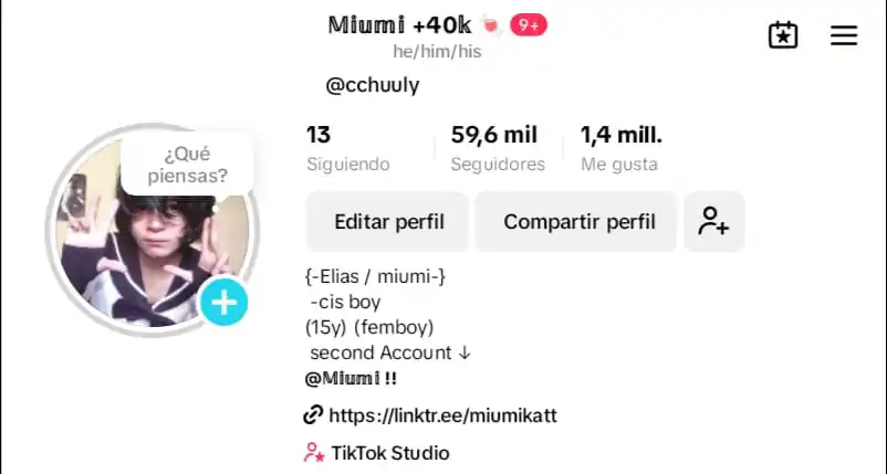 El Sótano De Las Ratas Camperas De Miumi post