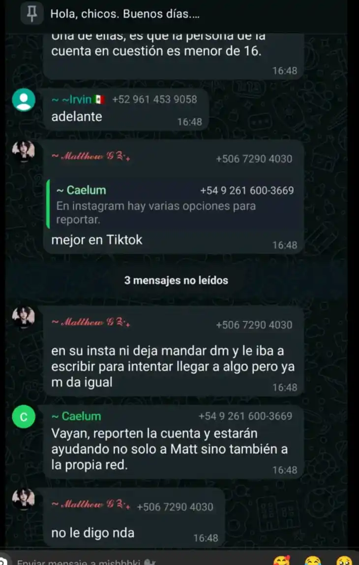 El Sótano De Las Ratas Camperas De Miumi post