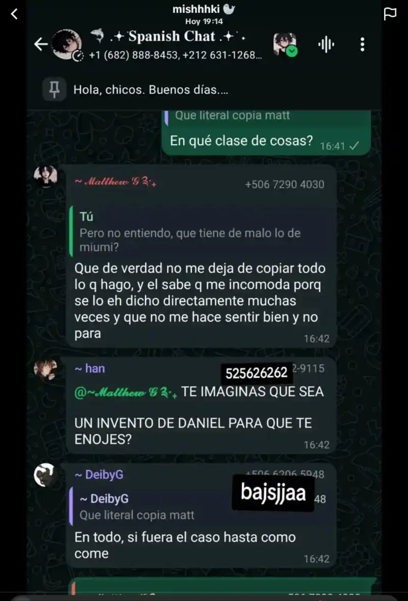El Sótano De Las Ratas Camperas De Miumi post