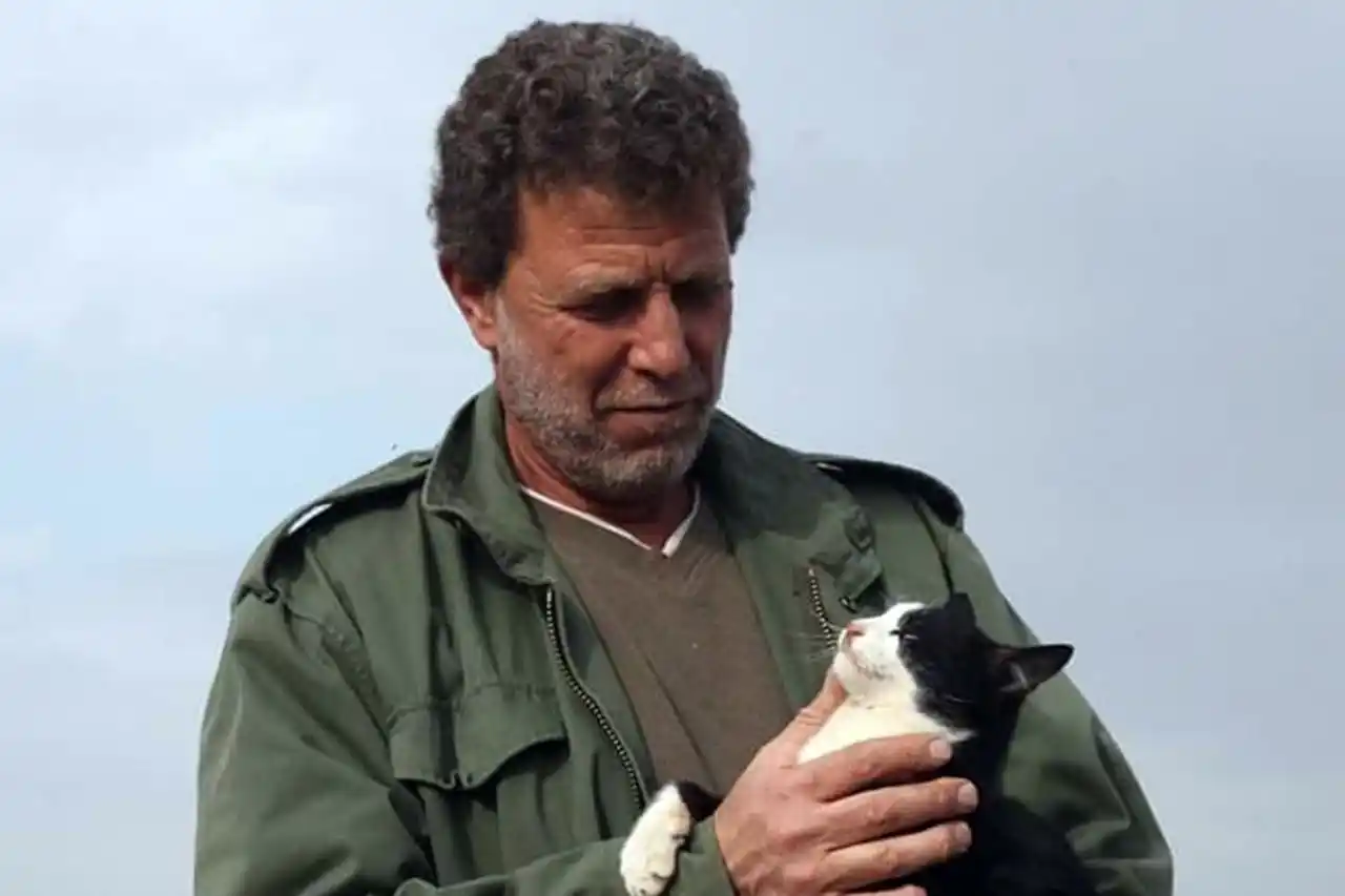 منصة الميدان post