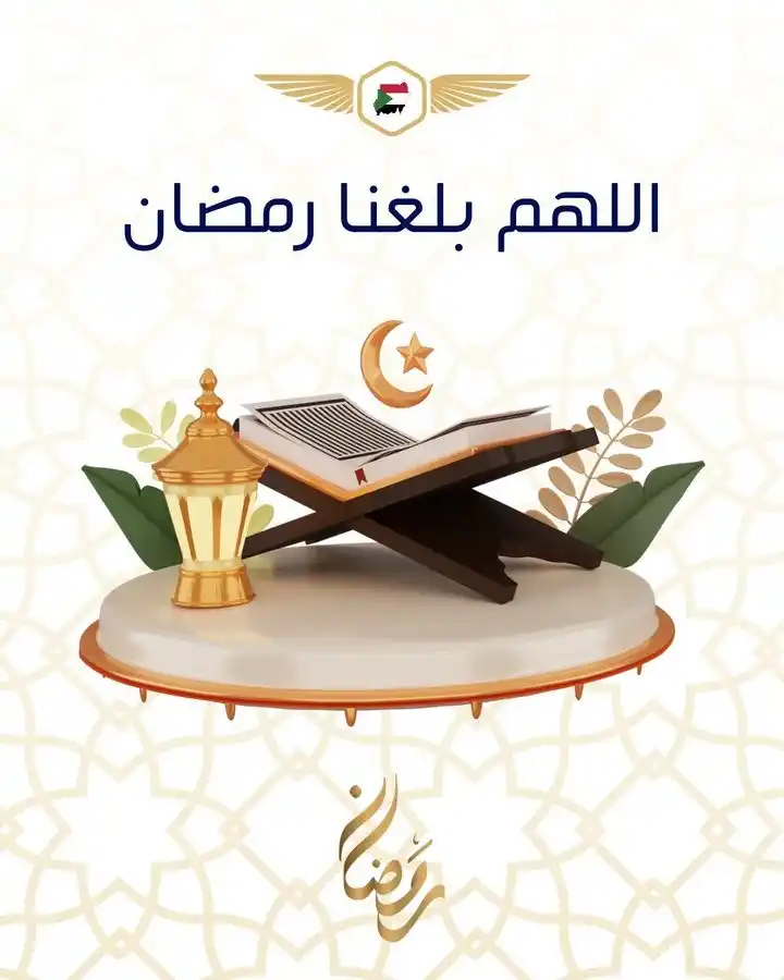 منصة صدى الطيران post