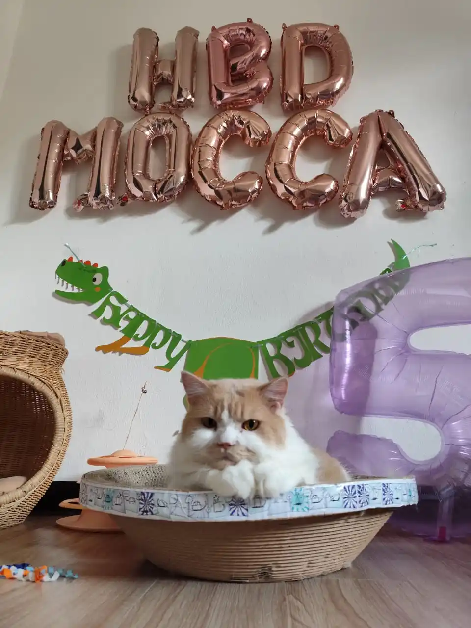 Mocca Orenji post
