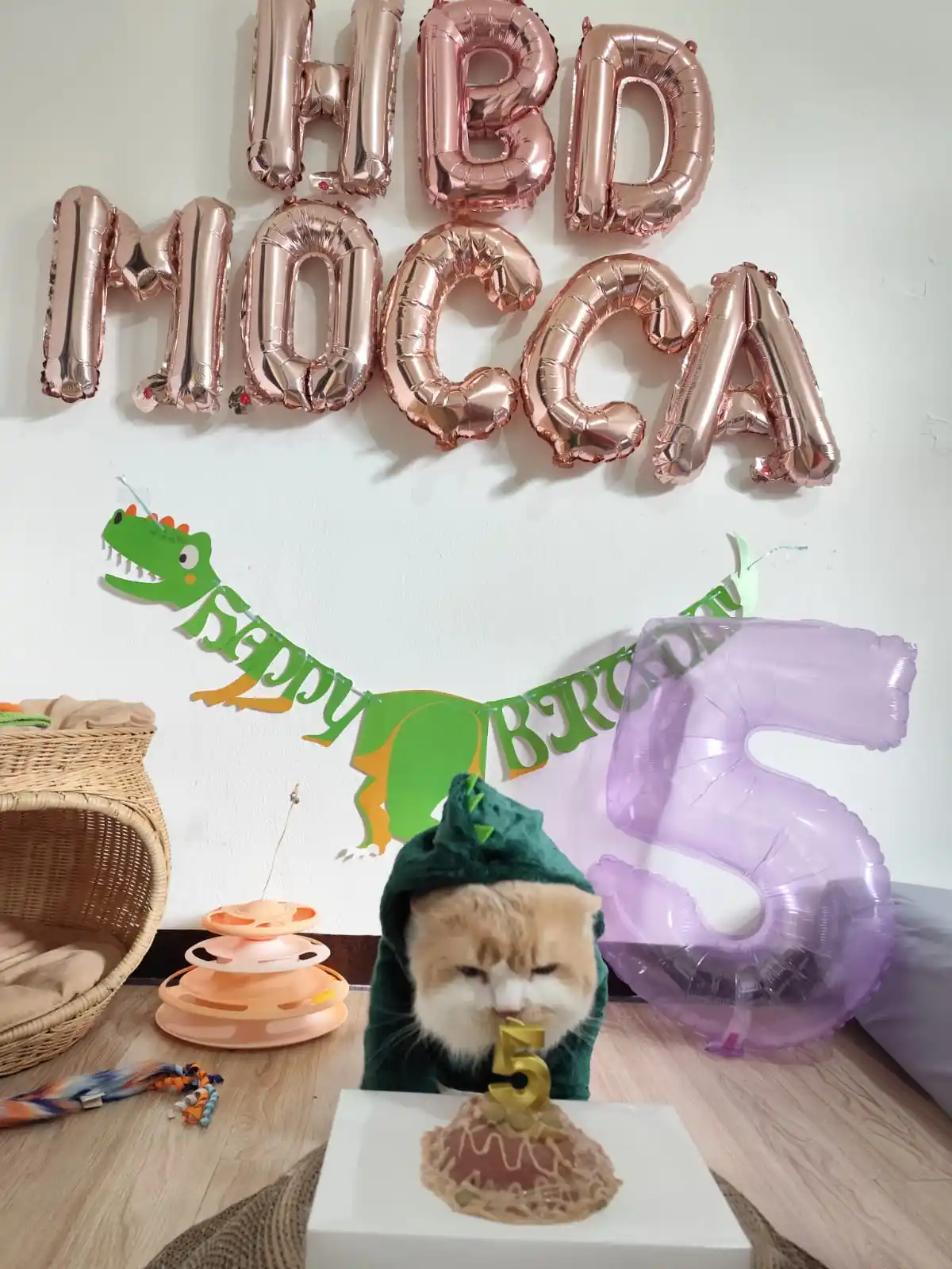 Mocca Orenji post
