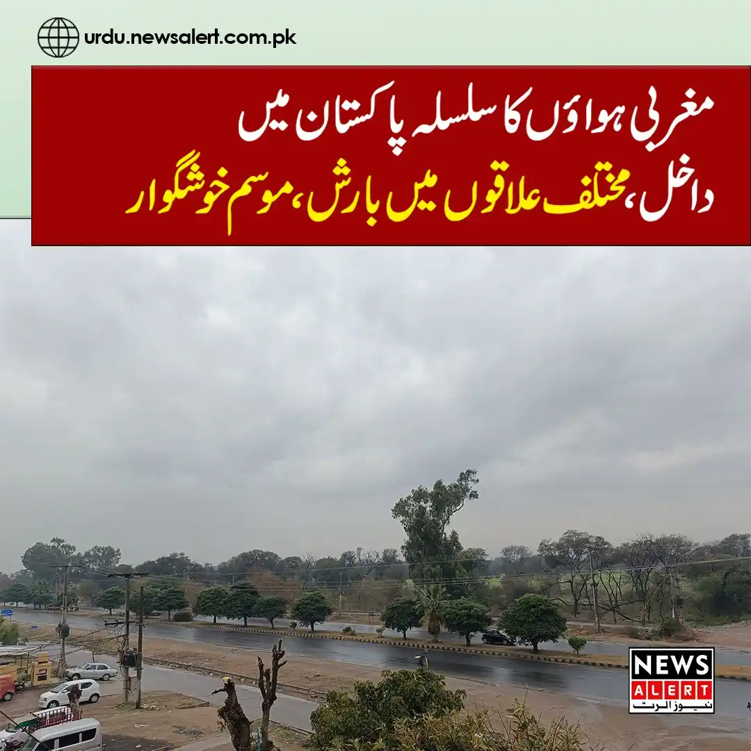News Alert post