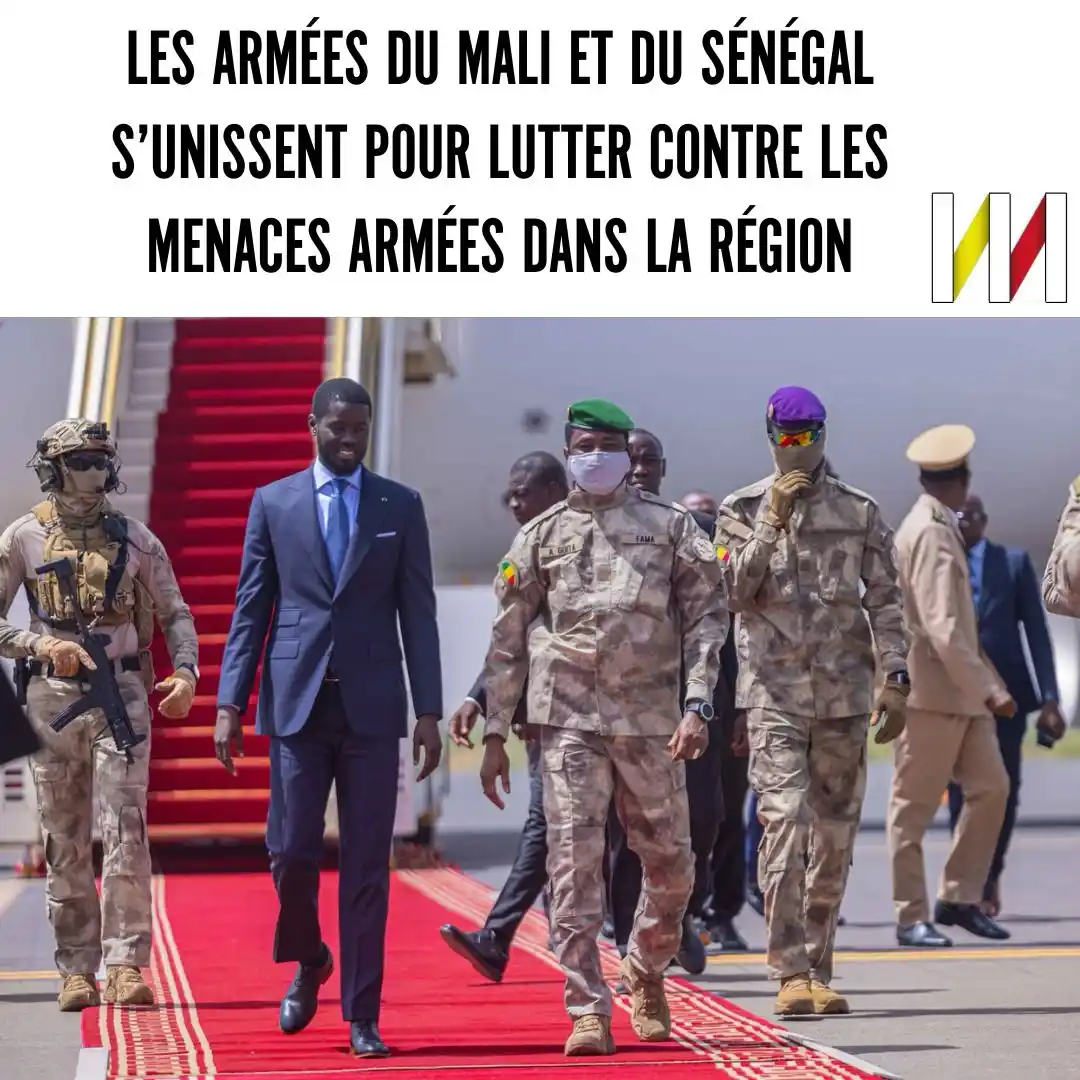 Image from NN: Les armées du mali et du sénégal s'unissent pour lutter contre les men...
