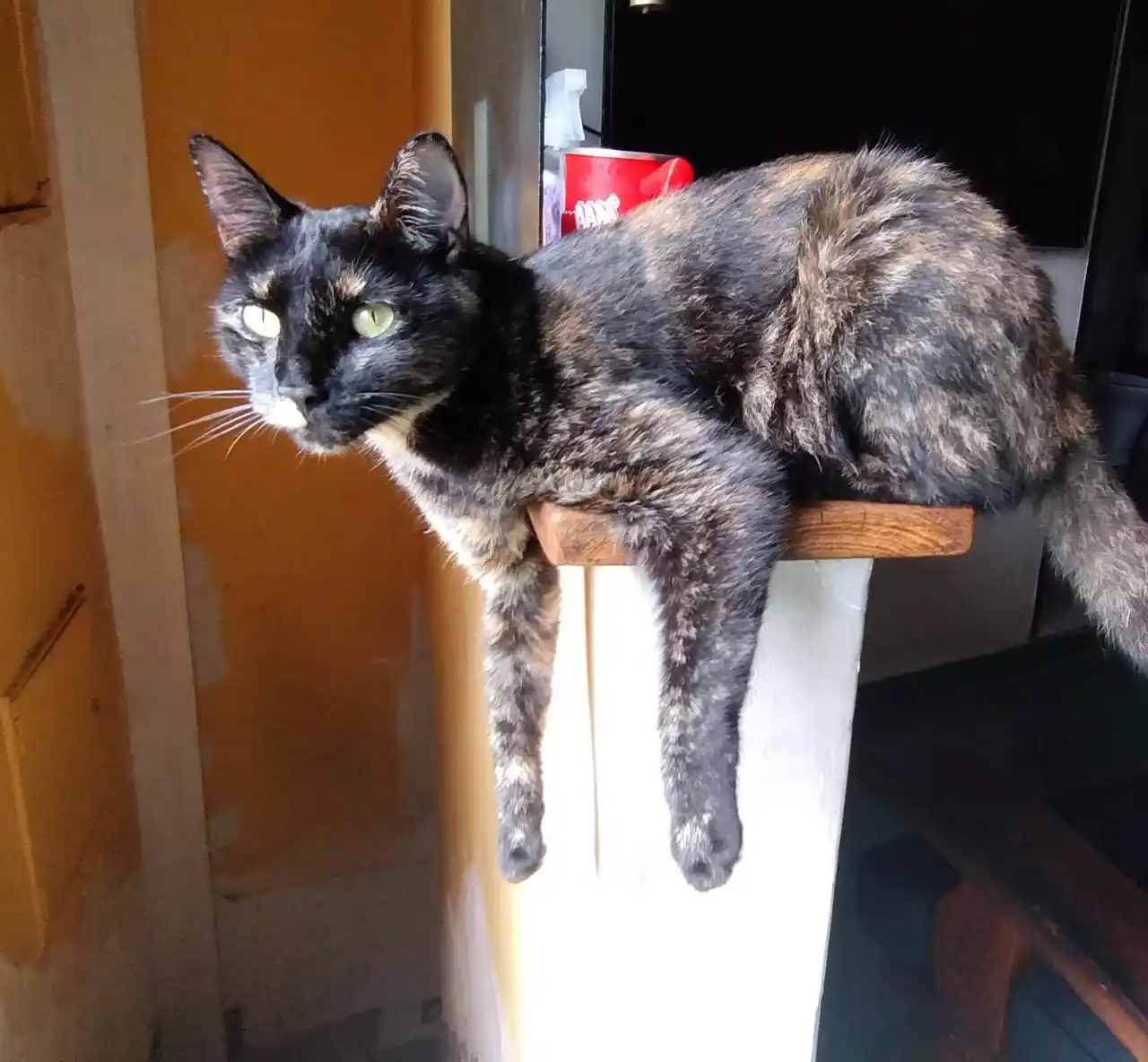 No Me Llamo ALECCHI!!! 😠😠 post