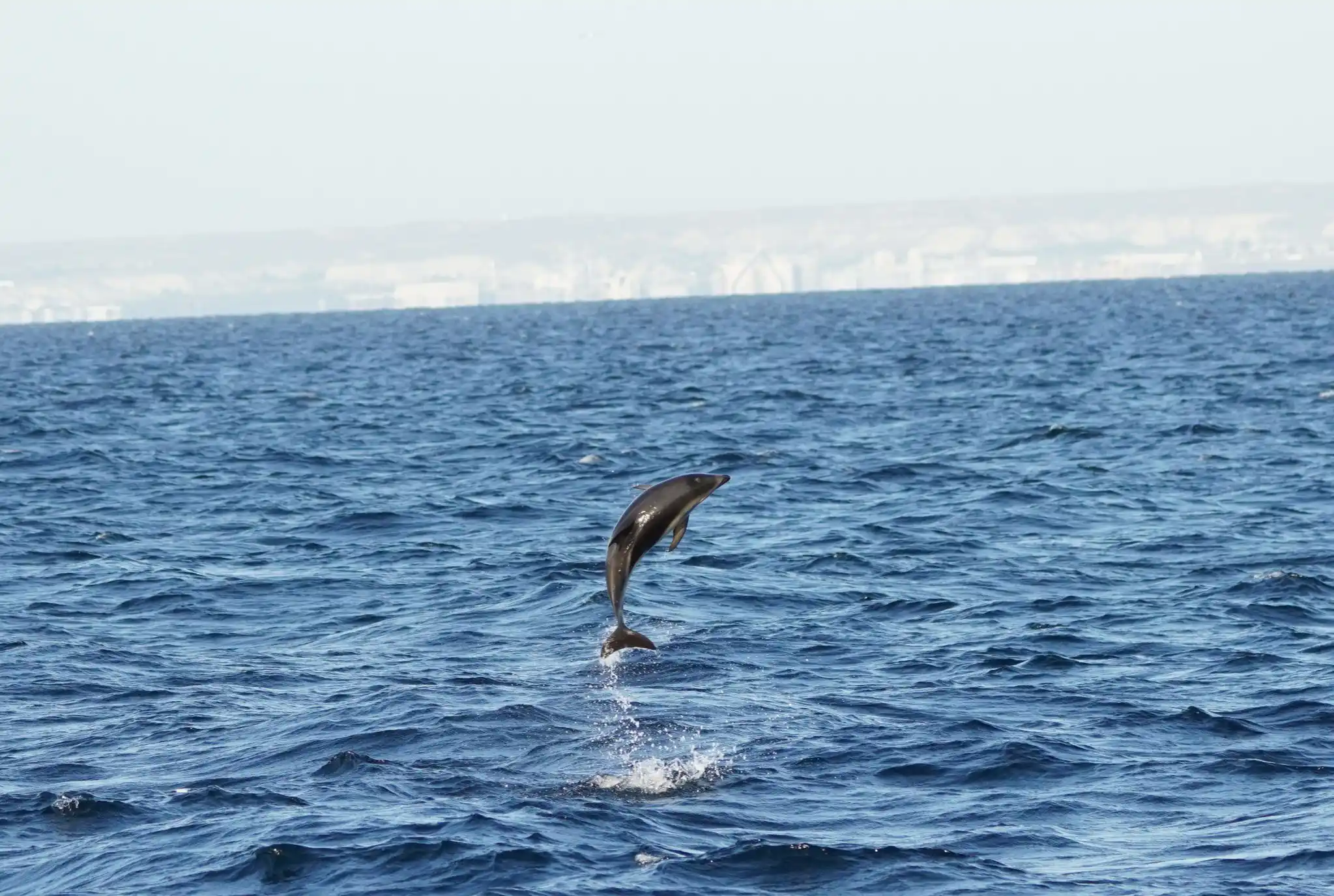 נוה בטיול הגדול✈️ post