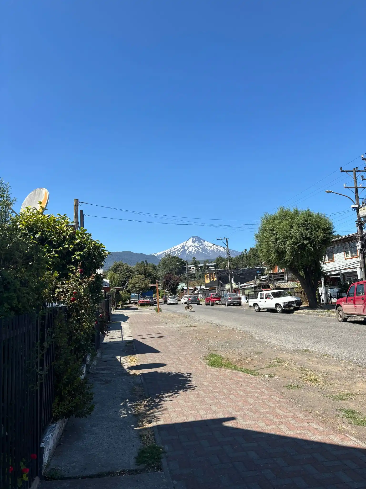 נוה בטיול הגדול✈️ post