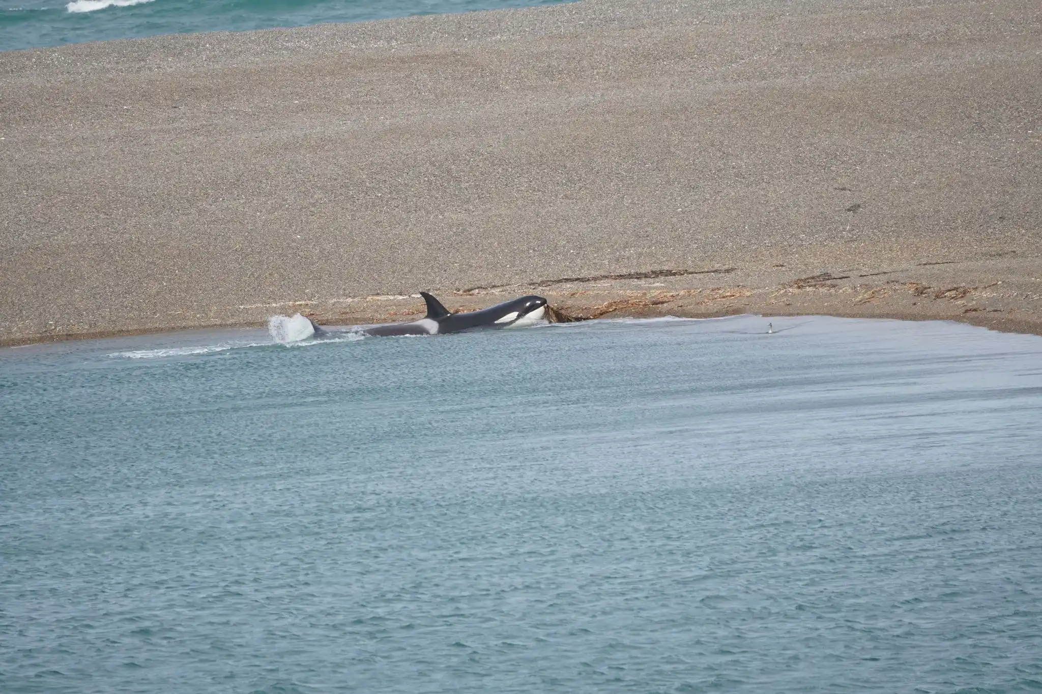 נוה בטיול הגדול✈️ post