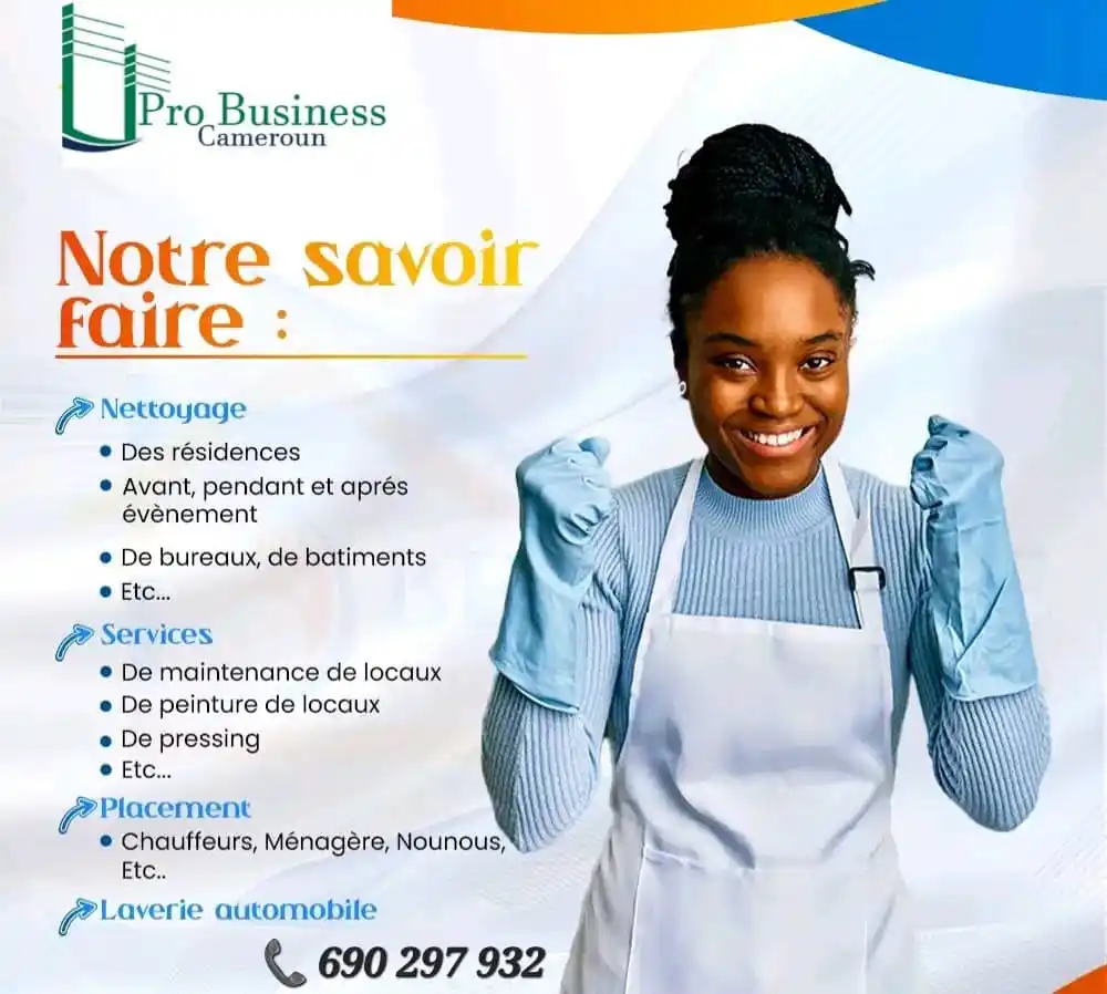 Offres de Différents Services de Pro Business Cameroun Sarl post