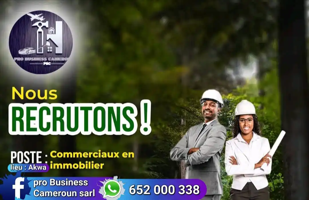 Offres de Différents Services de Pro Business Cameroun Sarl post