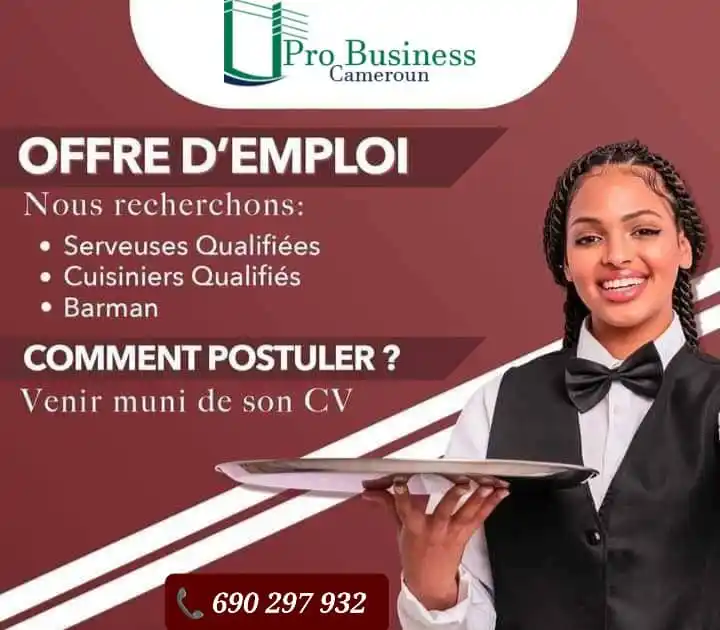 Offres de Différents Services de Pro Business Cameroun Sarl post
