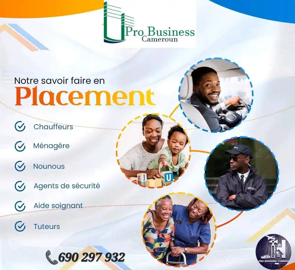 Offres de Différents Services de Pro Business Cameroun Sarl post