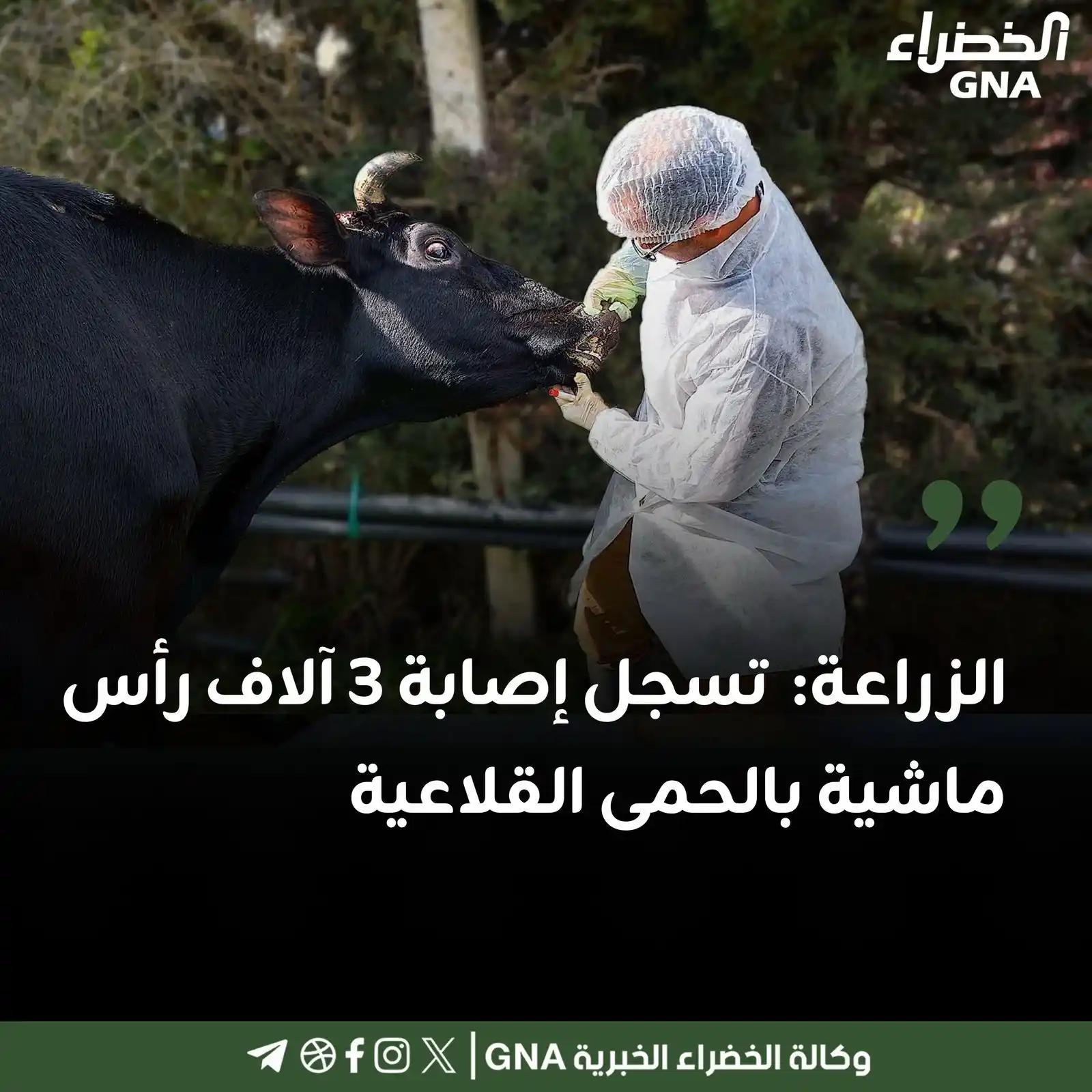 وكالة الخضراء الخبرية  post