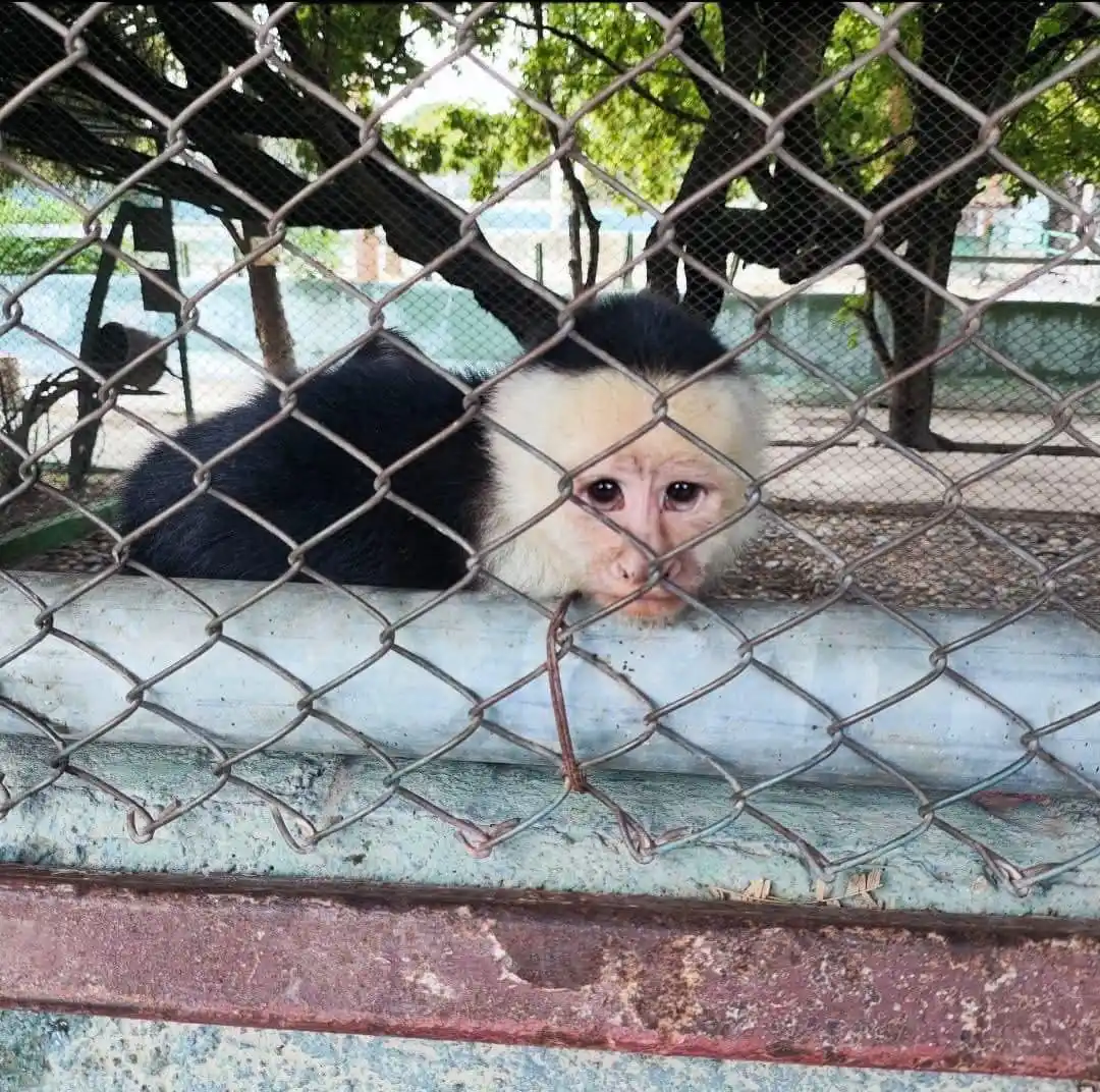 OPORTUNO NOTICIAS ↙️ post