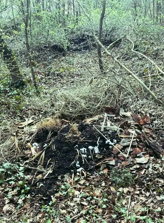 Ortsgemeinde Wirschweiler post