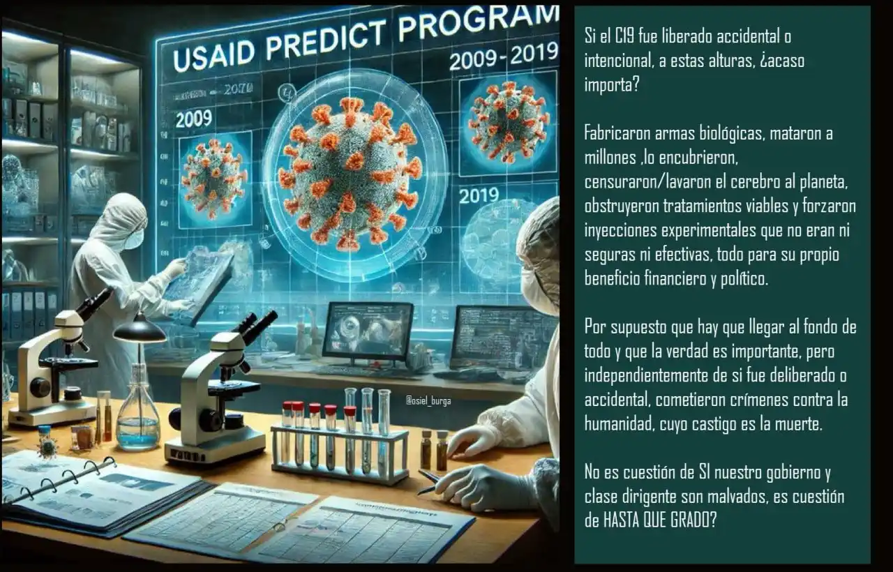 Osiel Burga - Q post