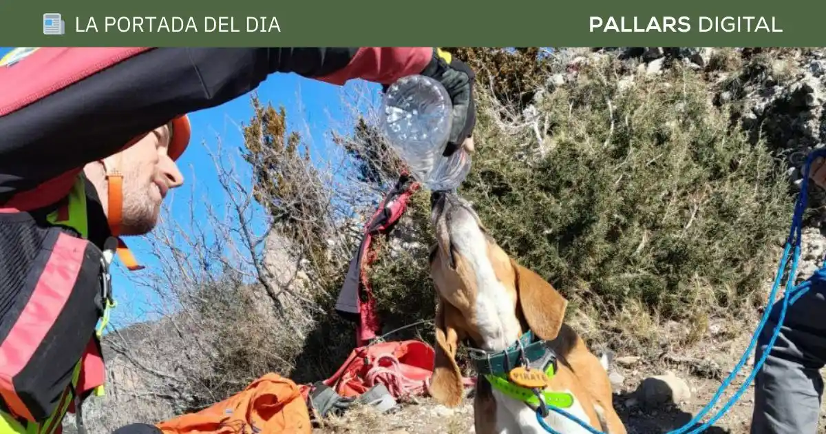 Pallars Digital post