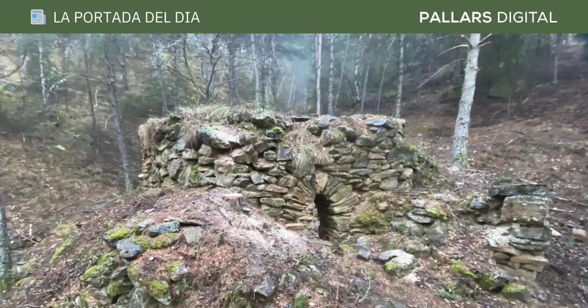 Pallars Digital post