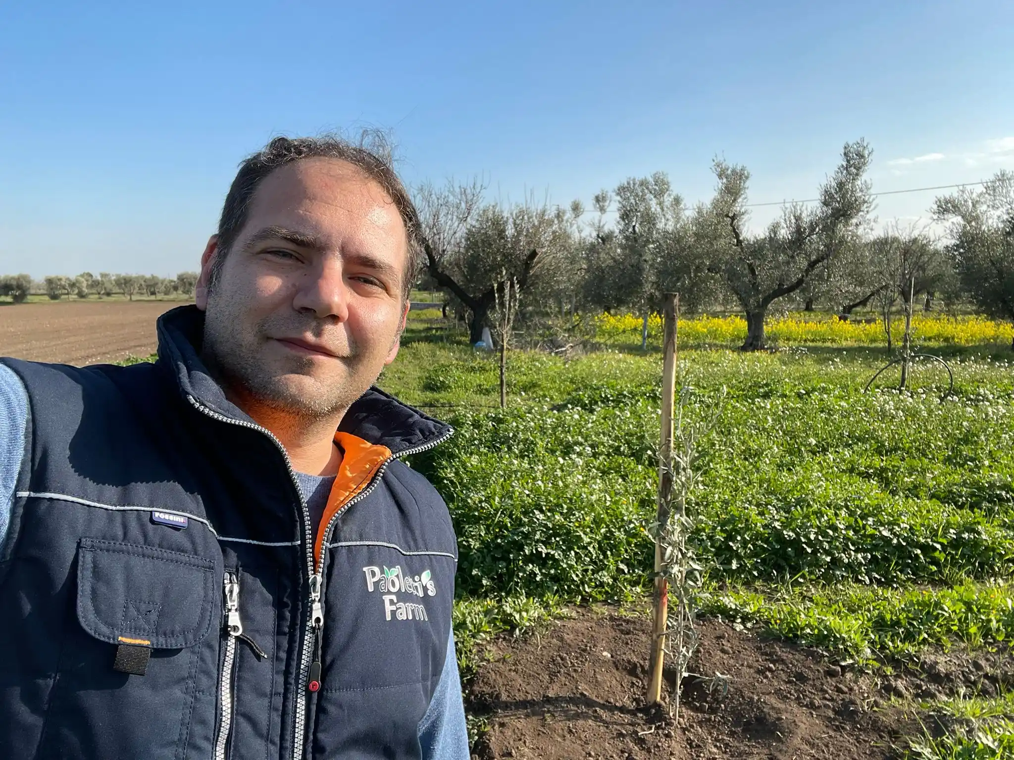 Image from Paoletti’s Farm: “Il giovane e il vecchio. 🌿🫒” Nella foto, il contrasto tra le nuove...