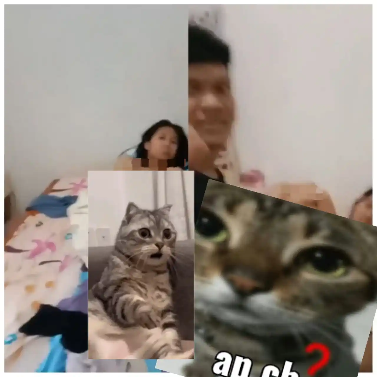 pemersatu bangsa VVIP post