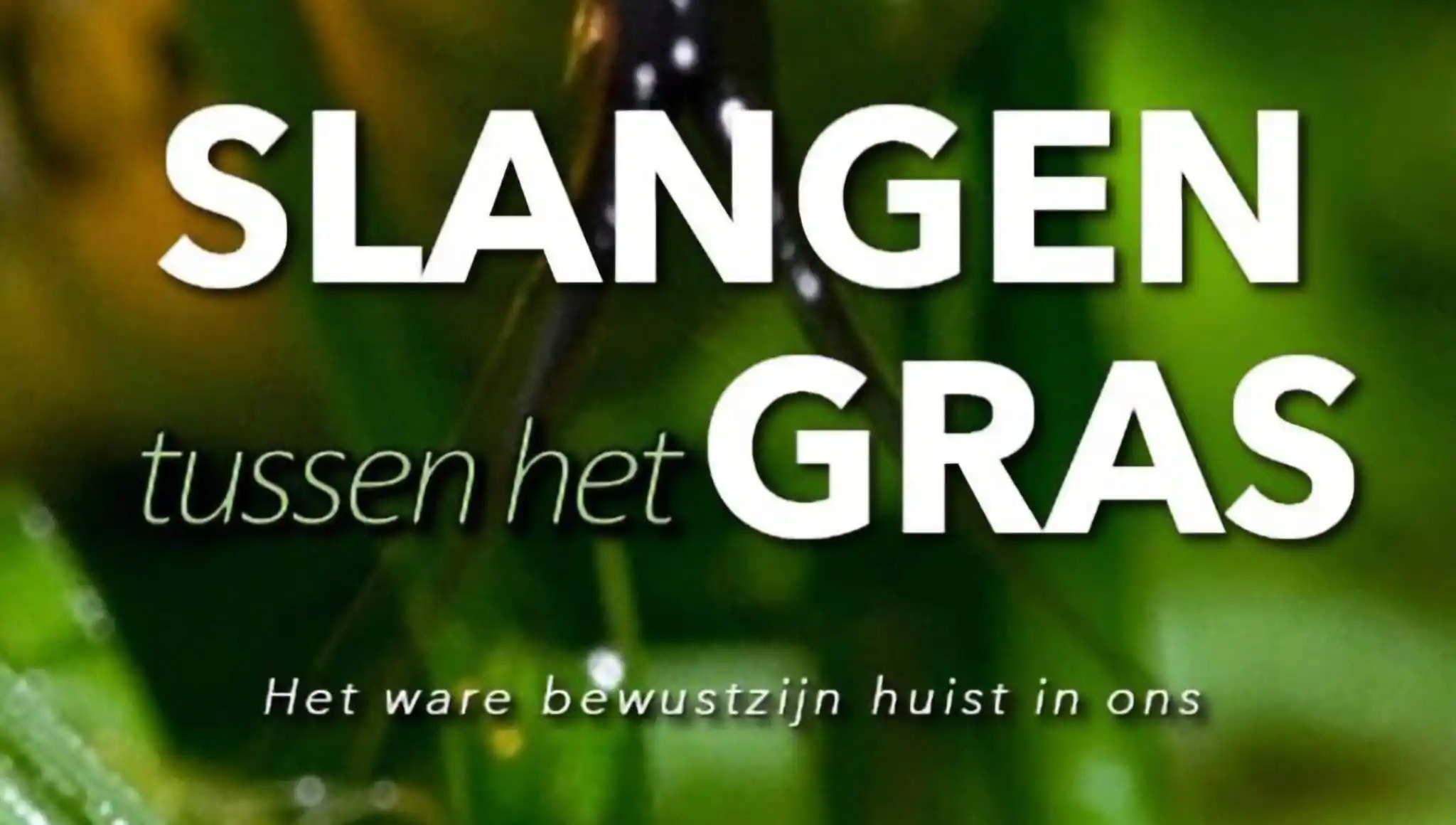 Piet Grasspriet 🌾 post