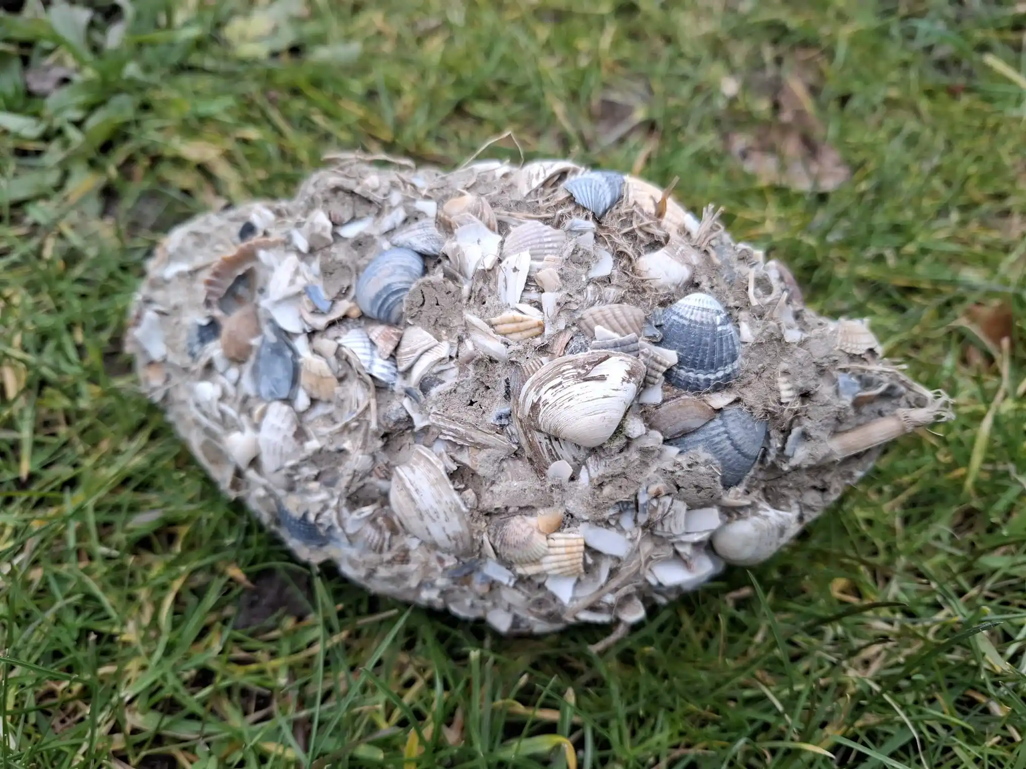 Piet Grasspriet 🌾 post