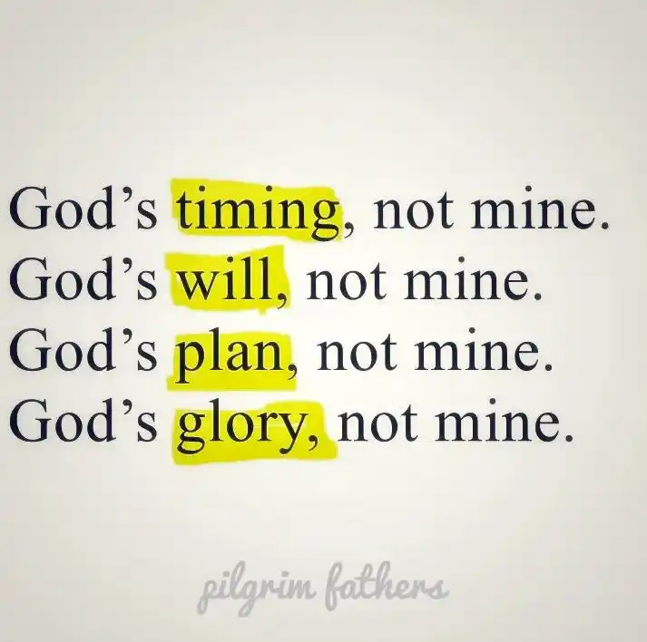 Pilgrim Fathers post