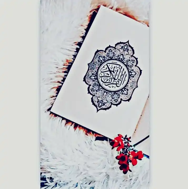 پنجشیر در مسیر فرهنگ post