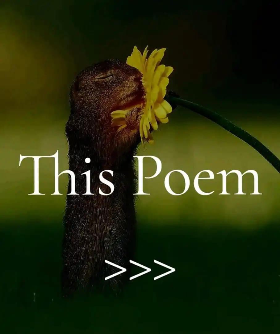 Nyabango's Poetic Arts & Crafts🧠 🎭 post