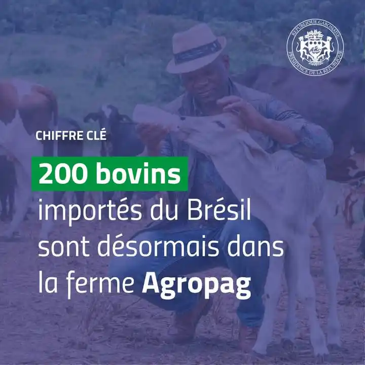 Présidence du Comité pour la Transition et la Restauration des Institutions post